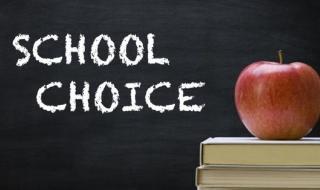 SChool Choice with desk and apple