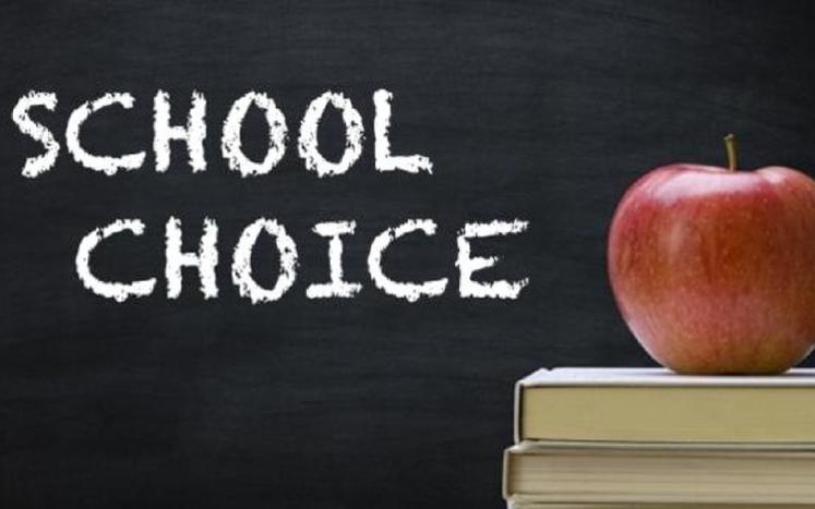 School Choice Image